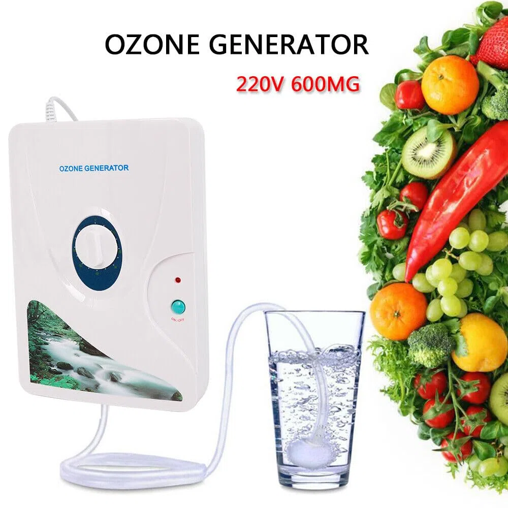 Przenośny generator ozonu 600 mg/h urządzenie ozonowe oczyszczacz powietrza do kuchni, pokoju, oleju, warzyw, mięsa, wody, świeżego oczyszczacza powietrza